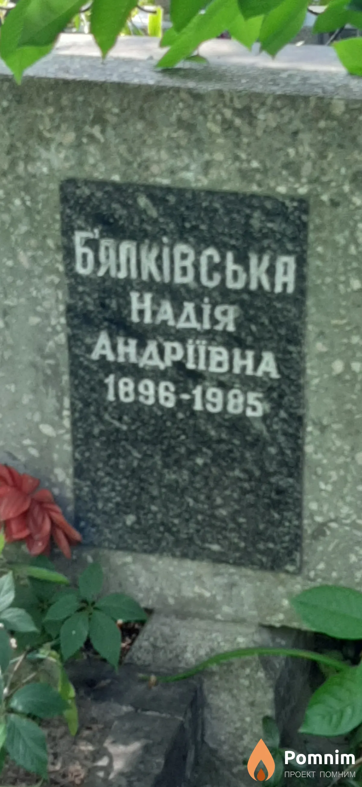 Бялкивская Надия Андреевна