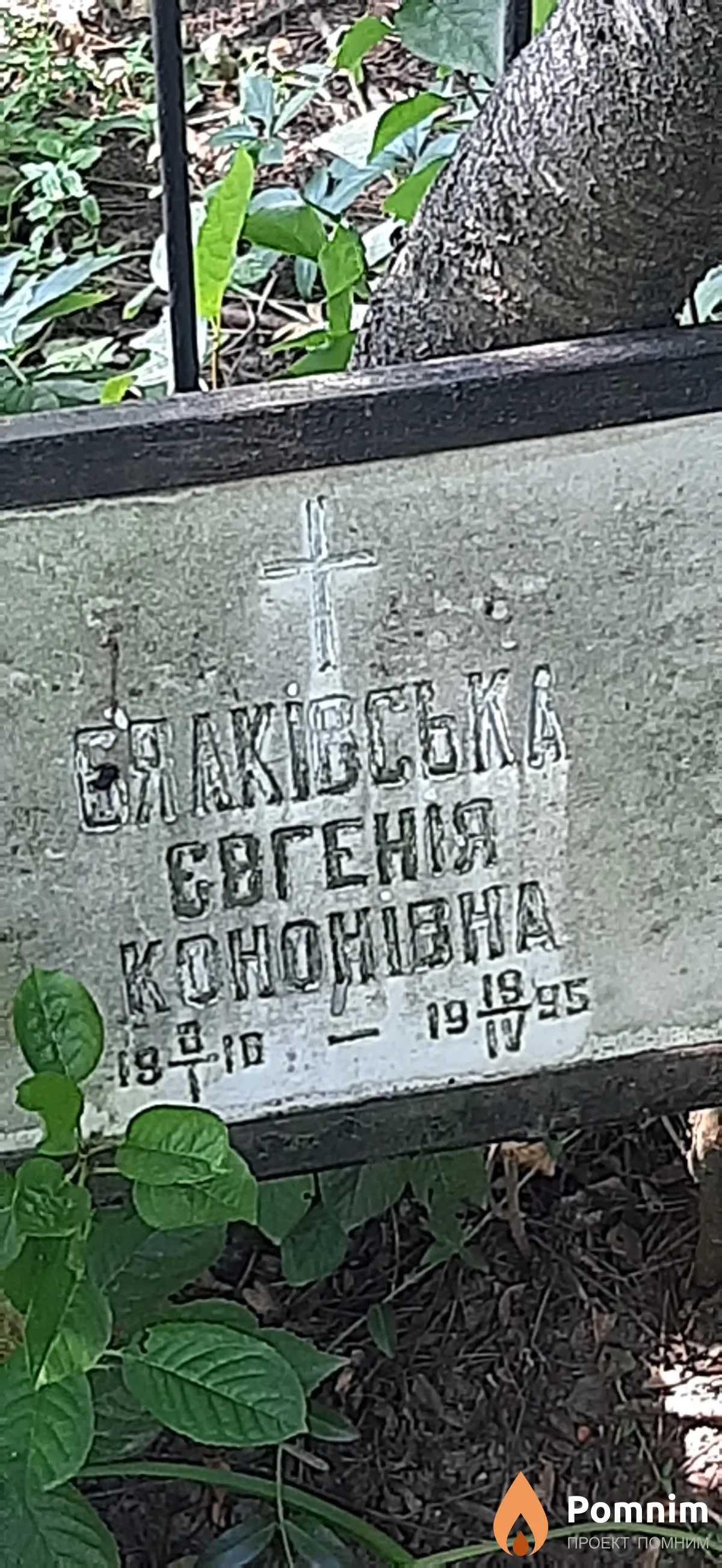 Бялкивская Евгения Кононовна