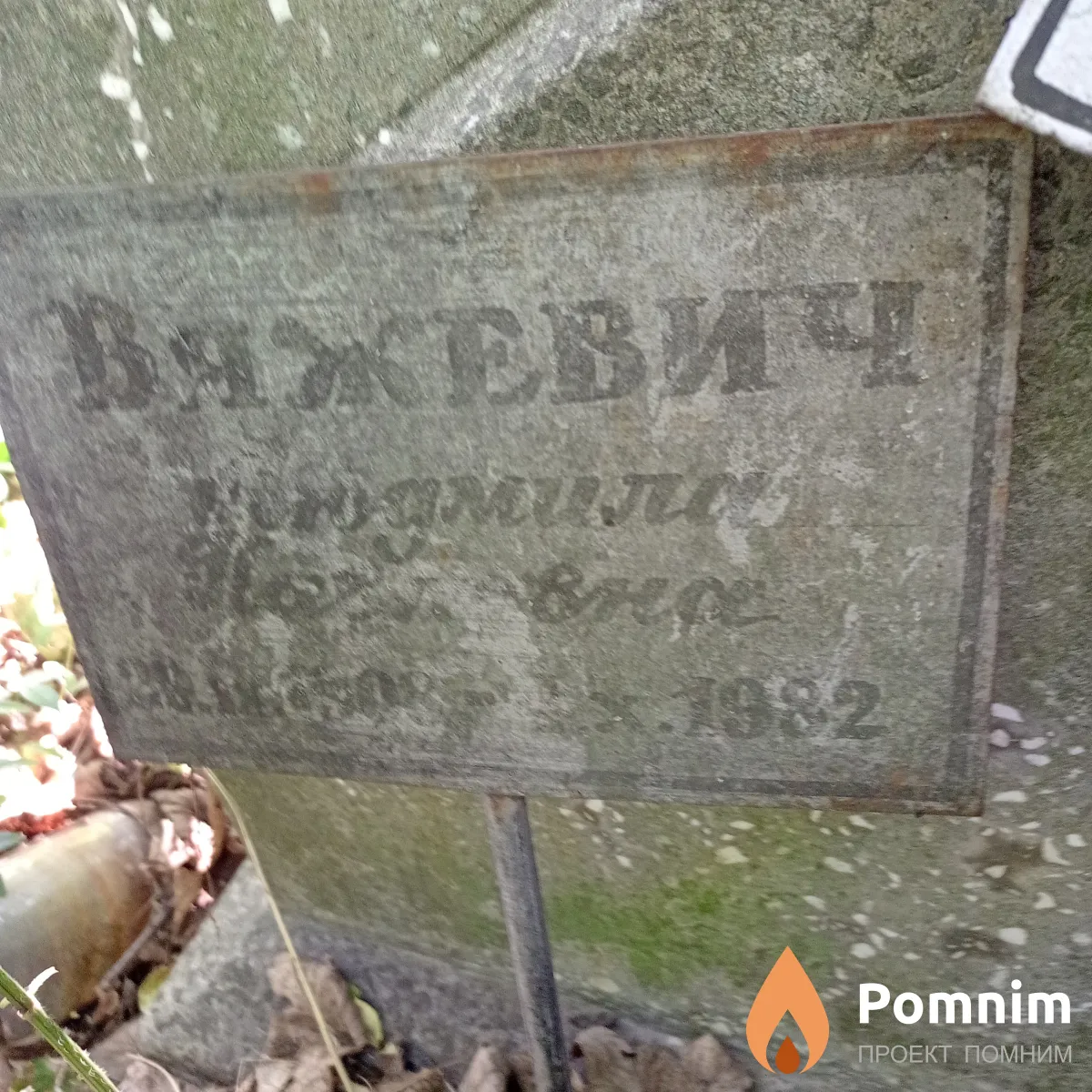 Вяжевич Людмила Ивановна