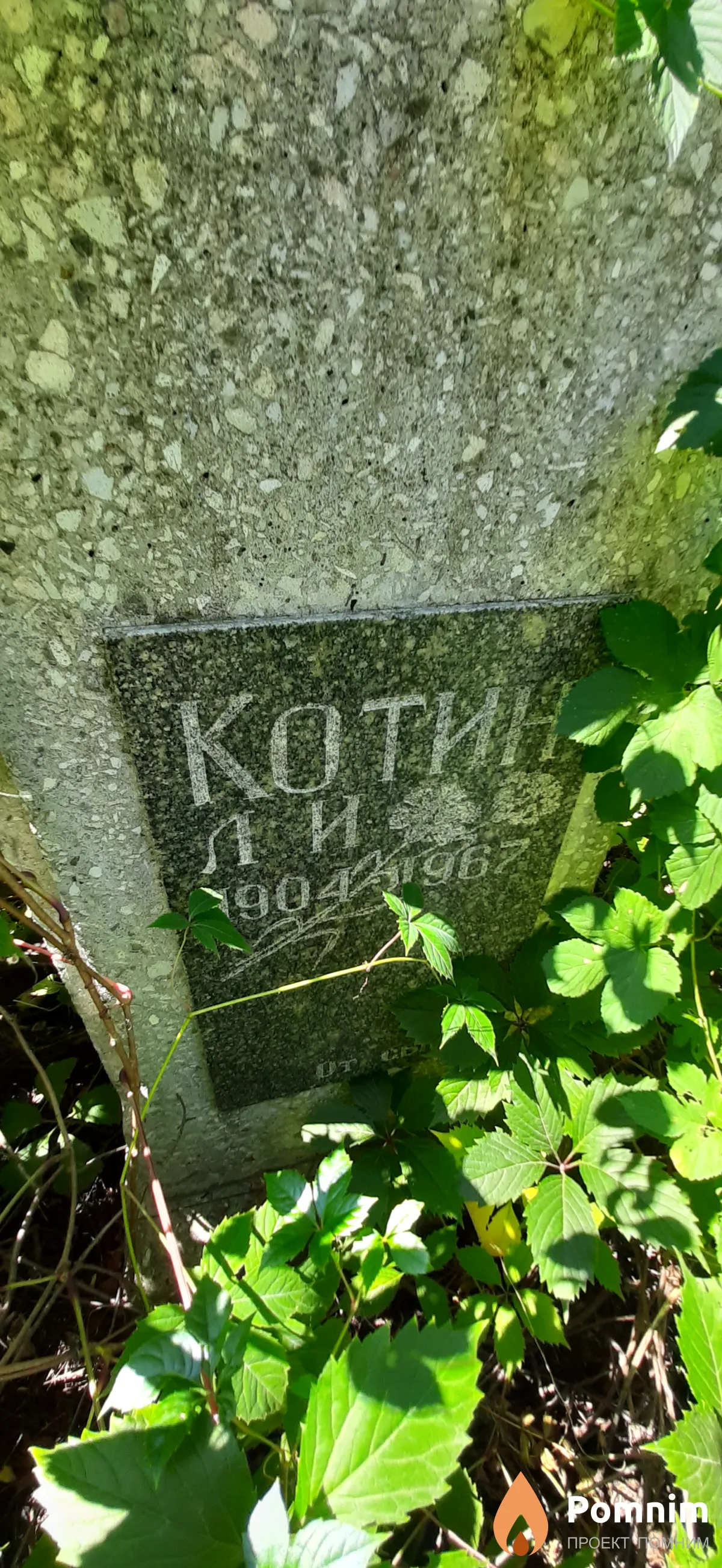 Котин Л. И.