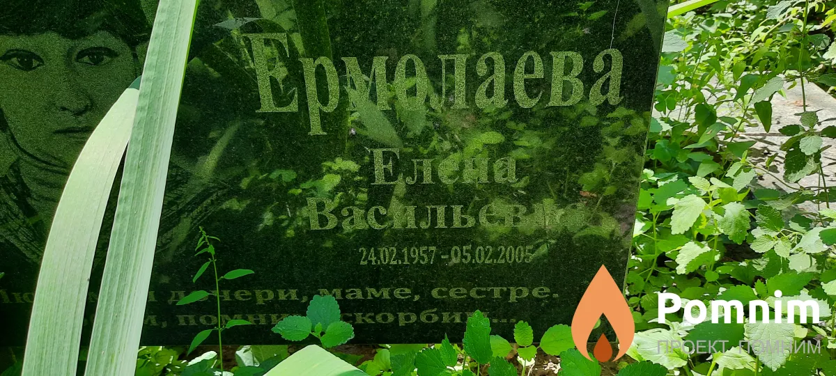 Ермолаева Елена Васильевна