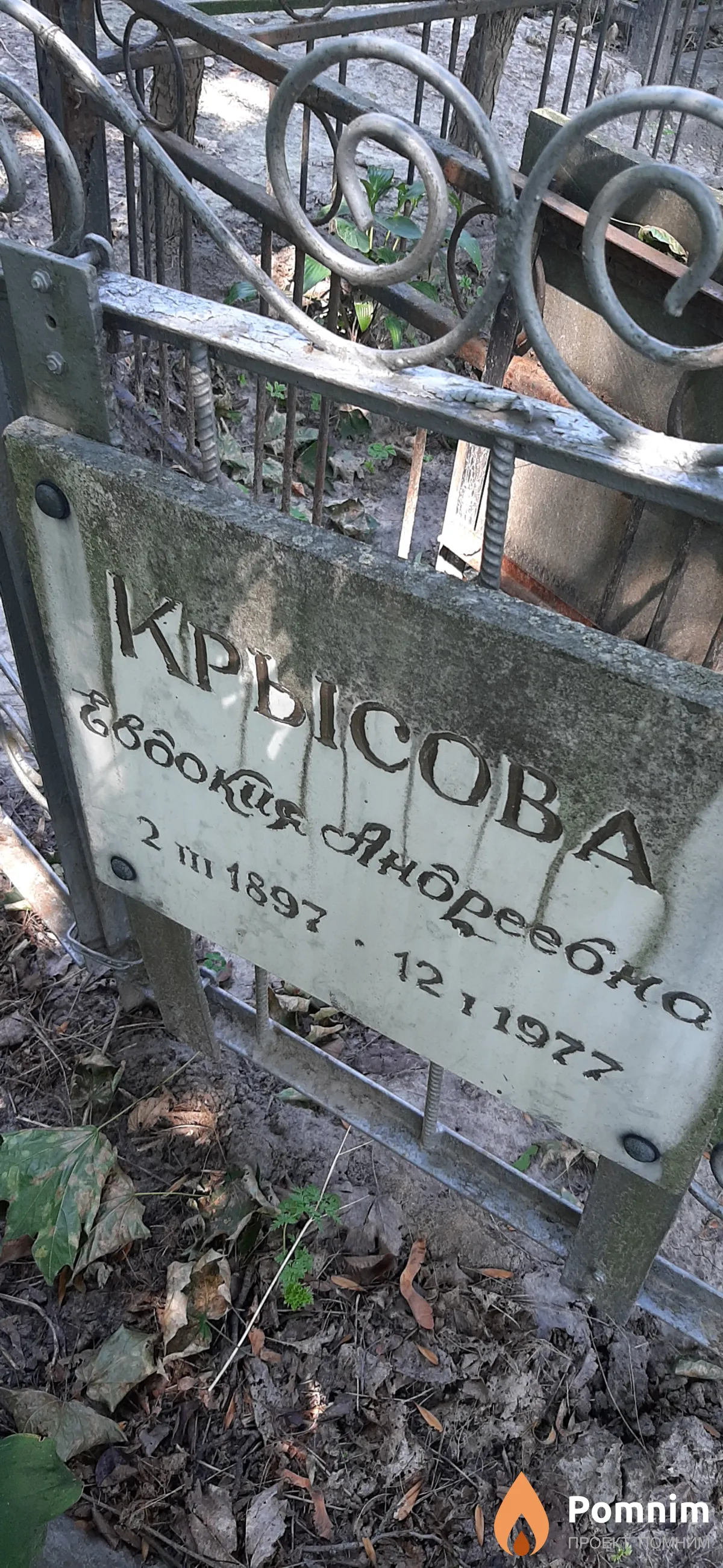 Крысова Свдокия Андреевна