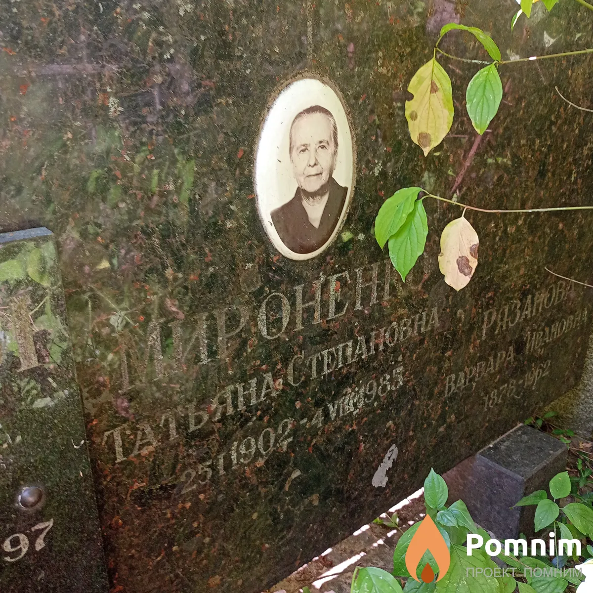 Мироненко Татьяна Степановна