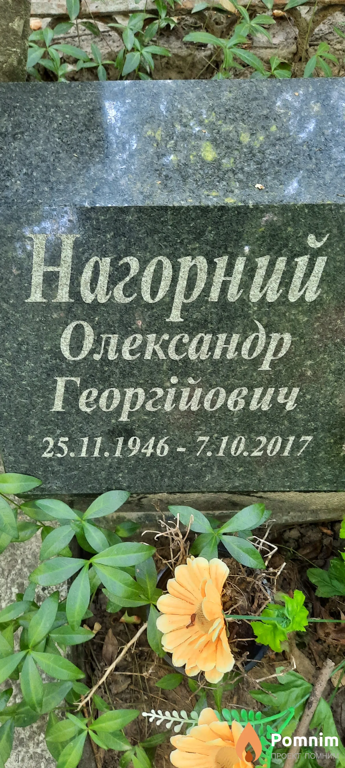 Нагорний Олександр Георгійович