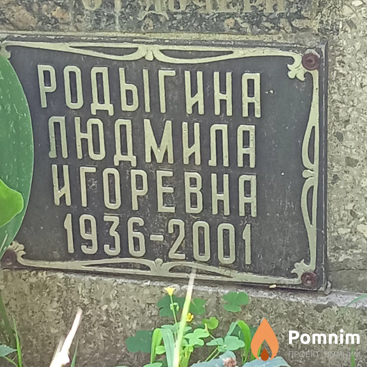 Родыгинк Людмила Игоревна