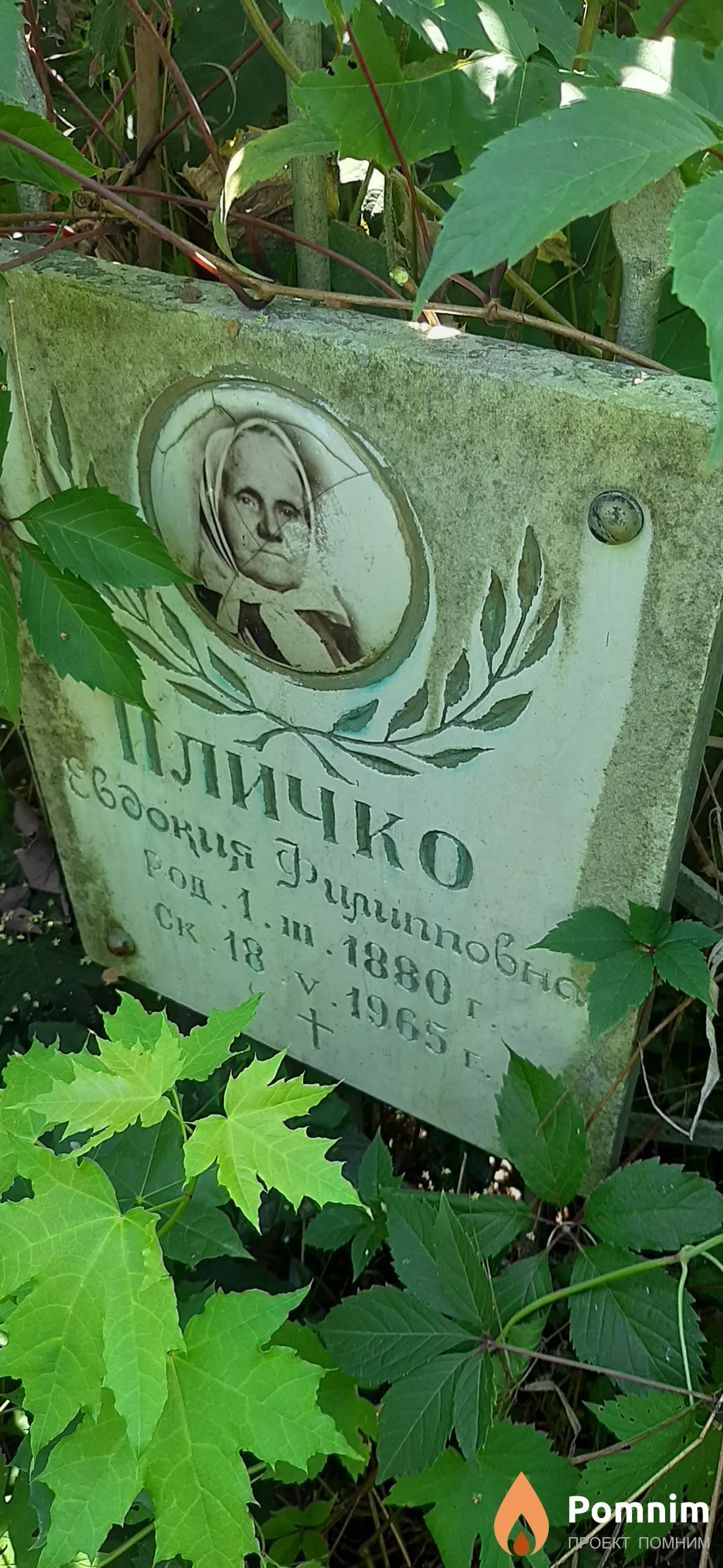 Пличко Евдокия Филиповна