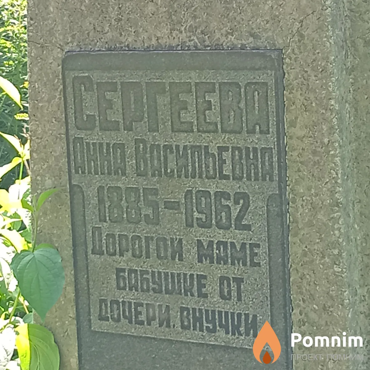 Сергеева Анна Васильевна