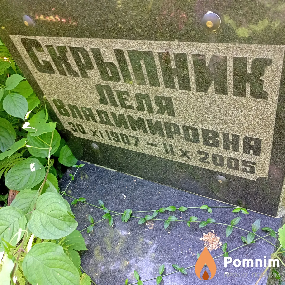 Скрипник Леля Владимировна