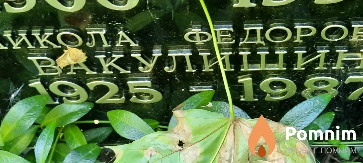 Вакулишин Микола Федорович
