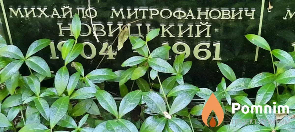 Новицький Михайло Митрофанович