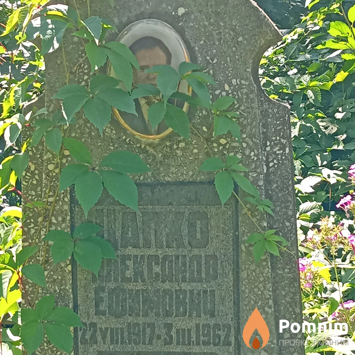 Цапко Александр Ефимович