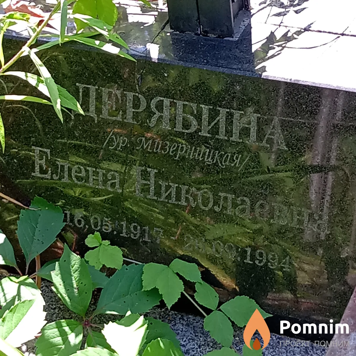 Дерябина Елена Николаевна