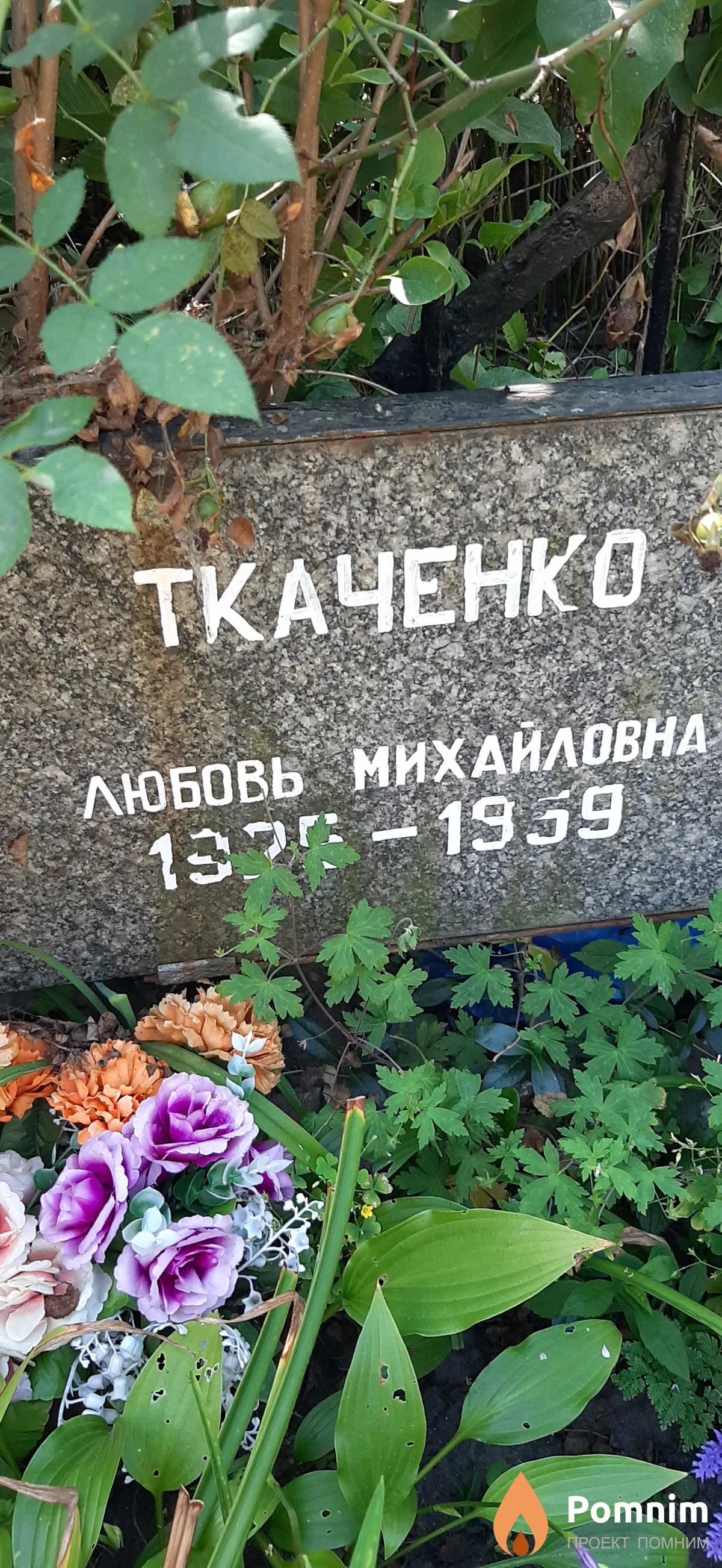 Ткаченко Любовь Михайловна