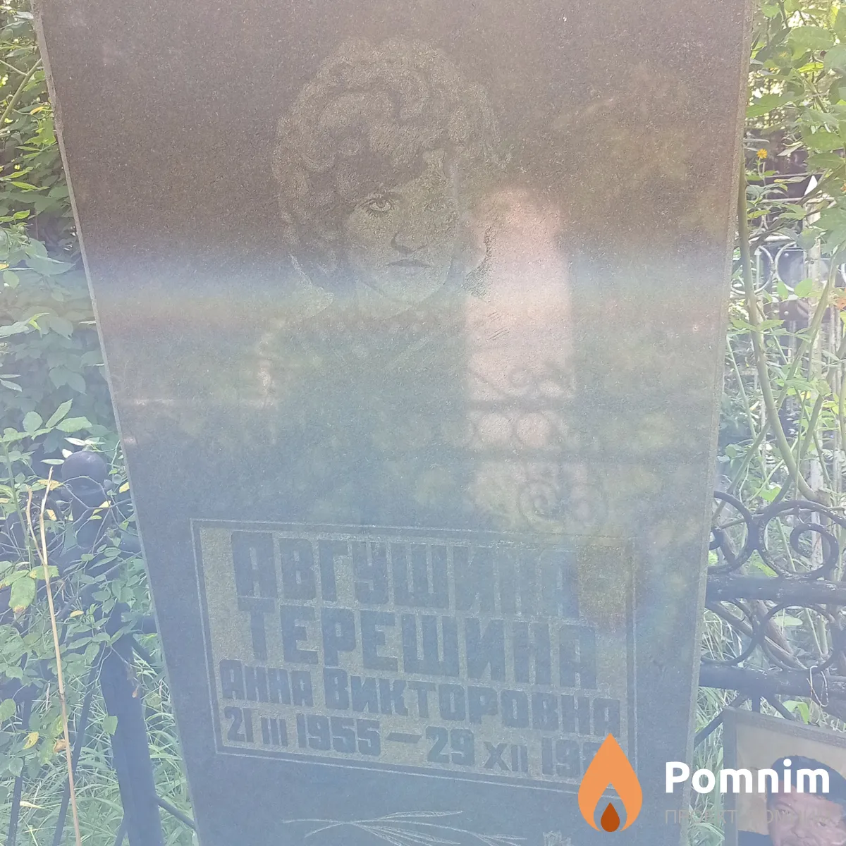 Авгушина-Терешина Анна Викторовна