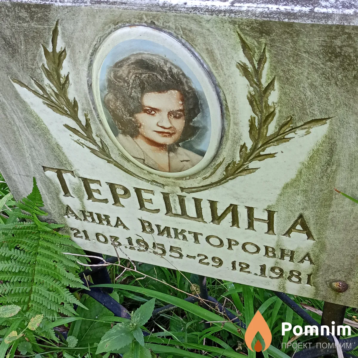 Терешина Анна Викторовна