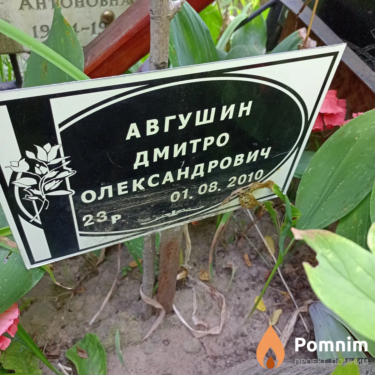 Авгушин Дмитро Олександрович