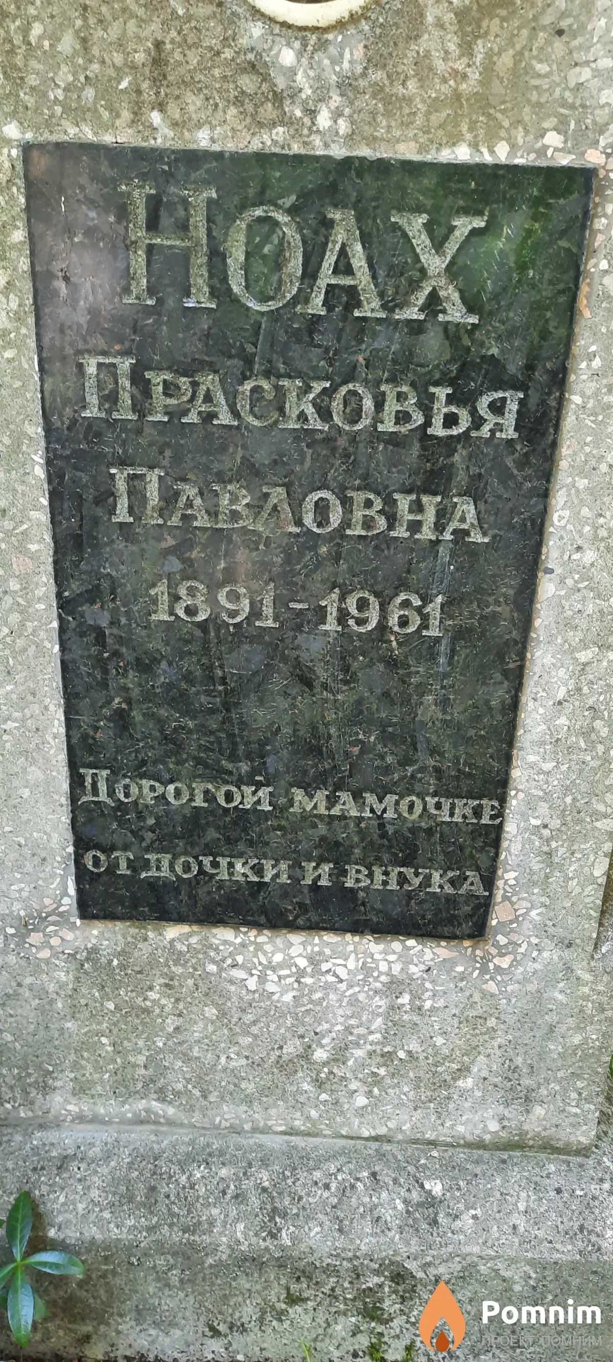 Ноах Прасковья Павловна