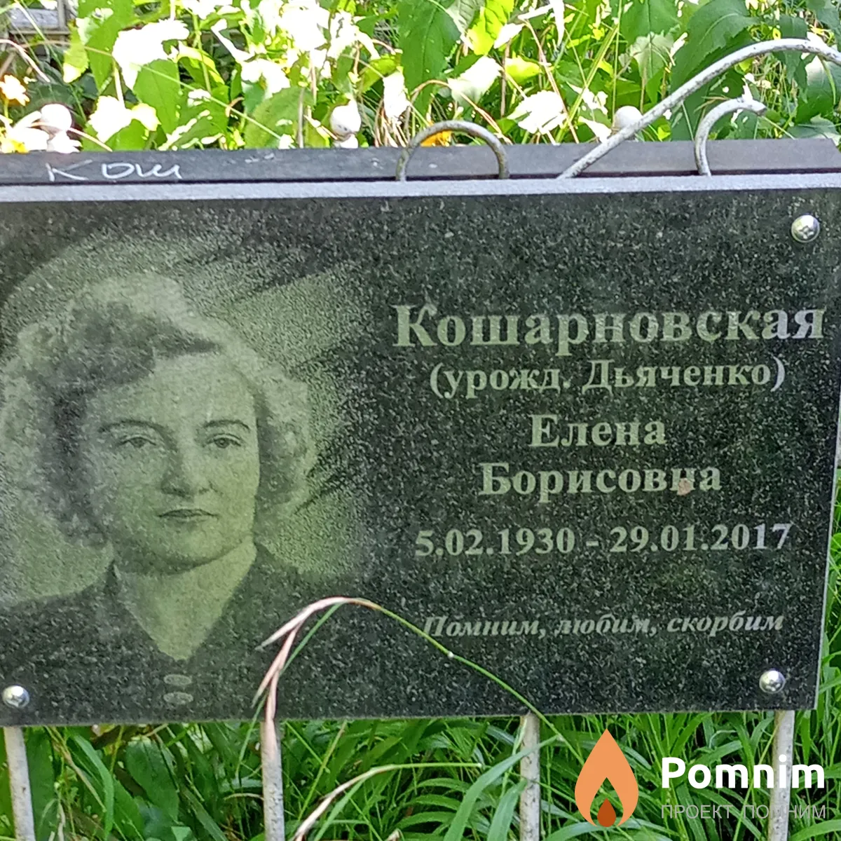 Кошарновская(Дьяченко) Елена Борисовна