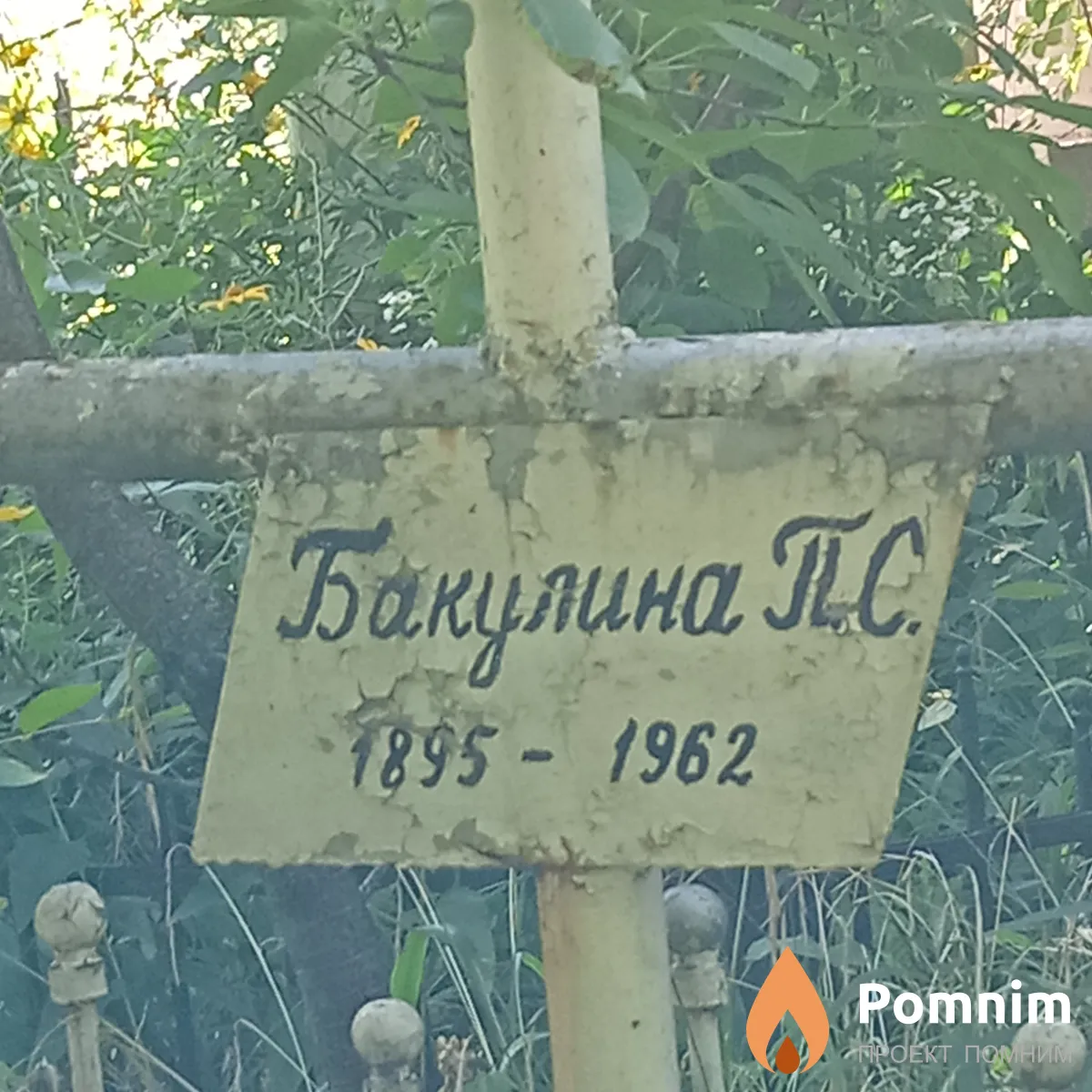Бакулина П С