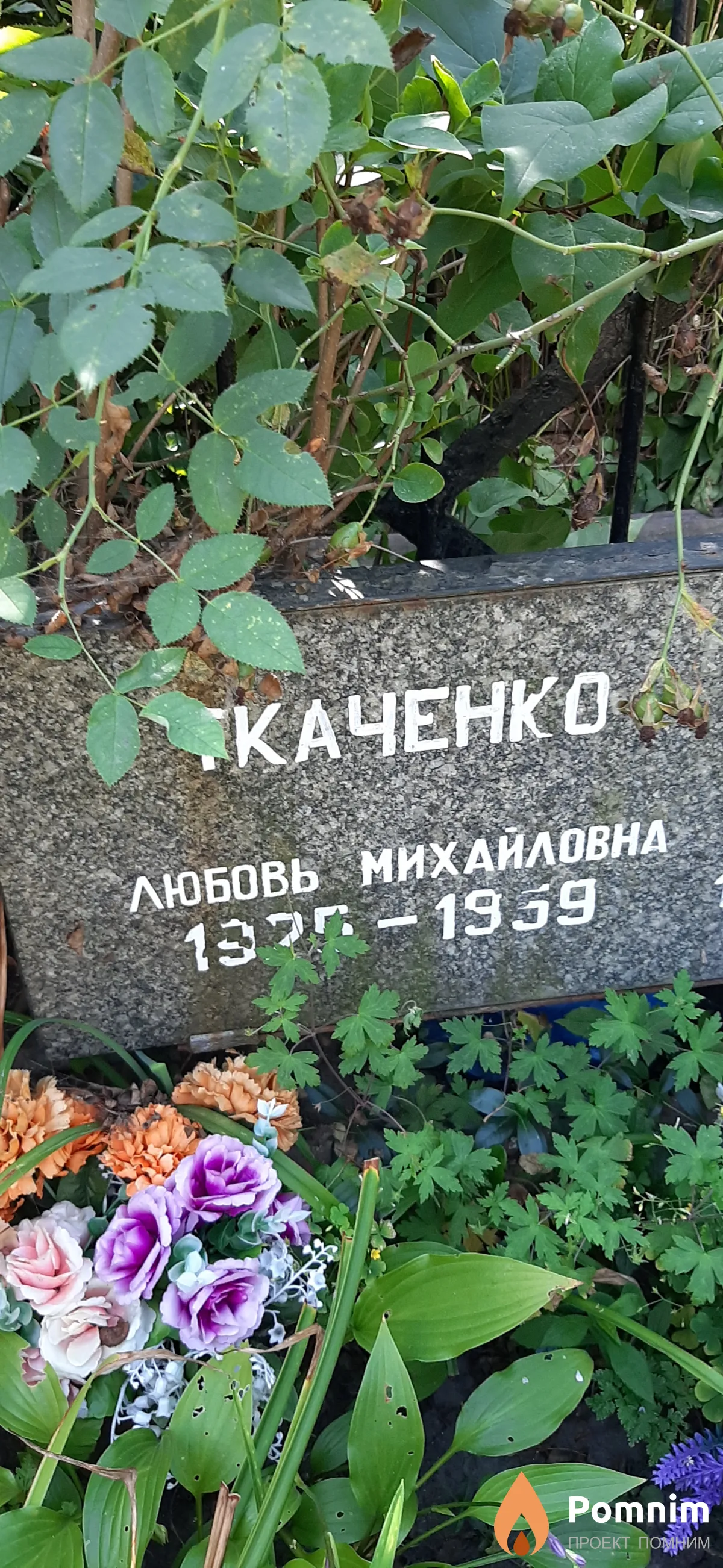 Ткаченко Любовь Михайловна