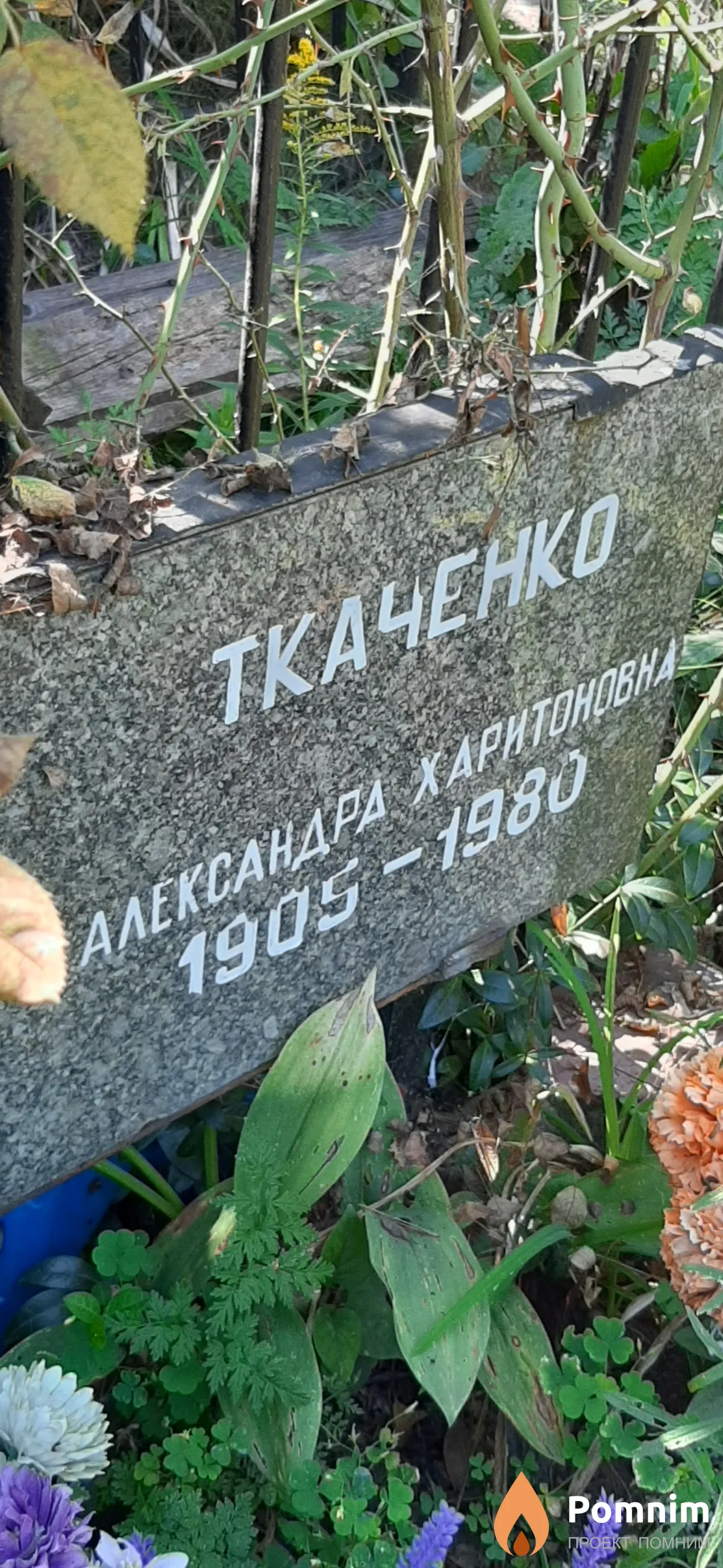 Ткаченко Александра Харитоновна