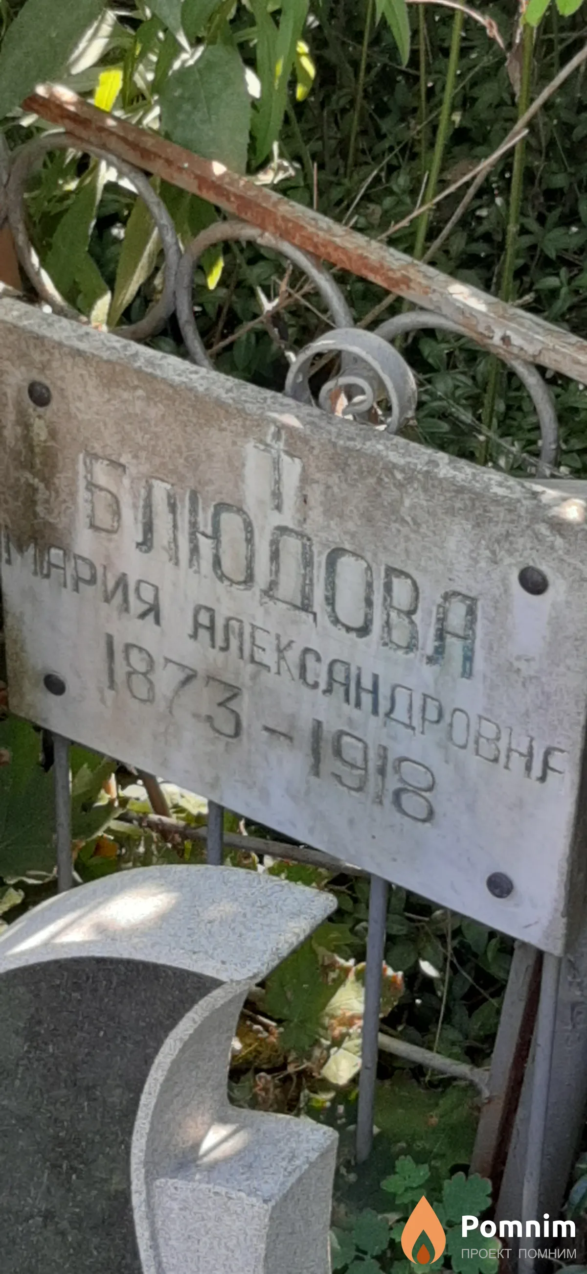 Блюдова Мария Александровна