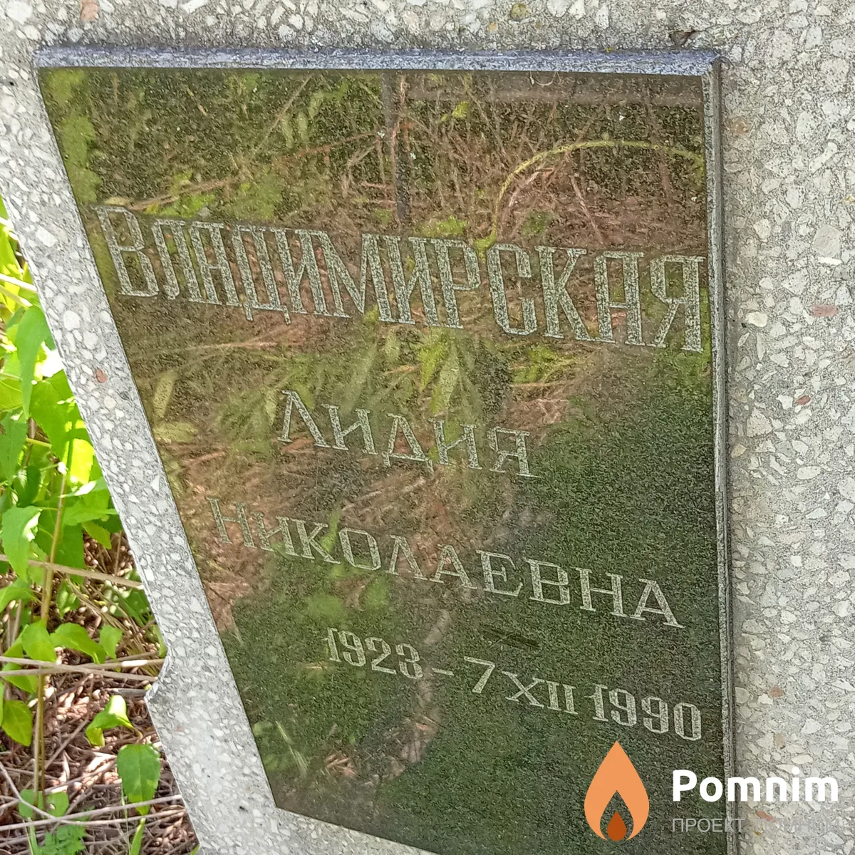 Владимирская Лидия Николаевна