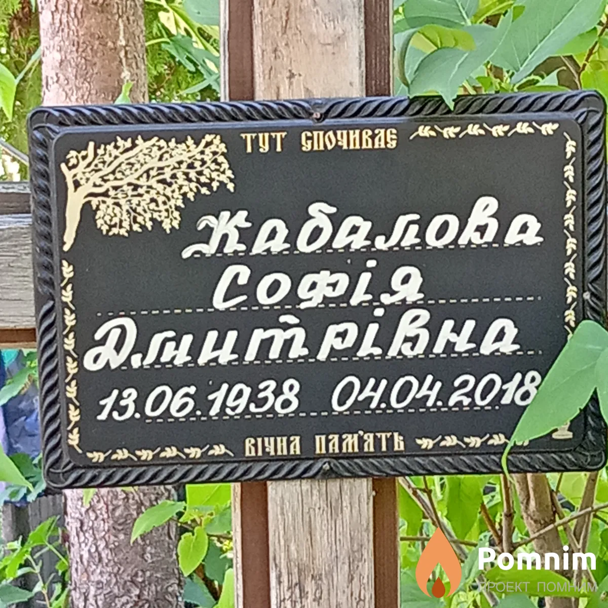 Кабалова София Дмитриевна