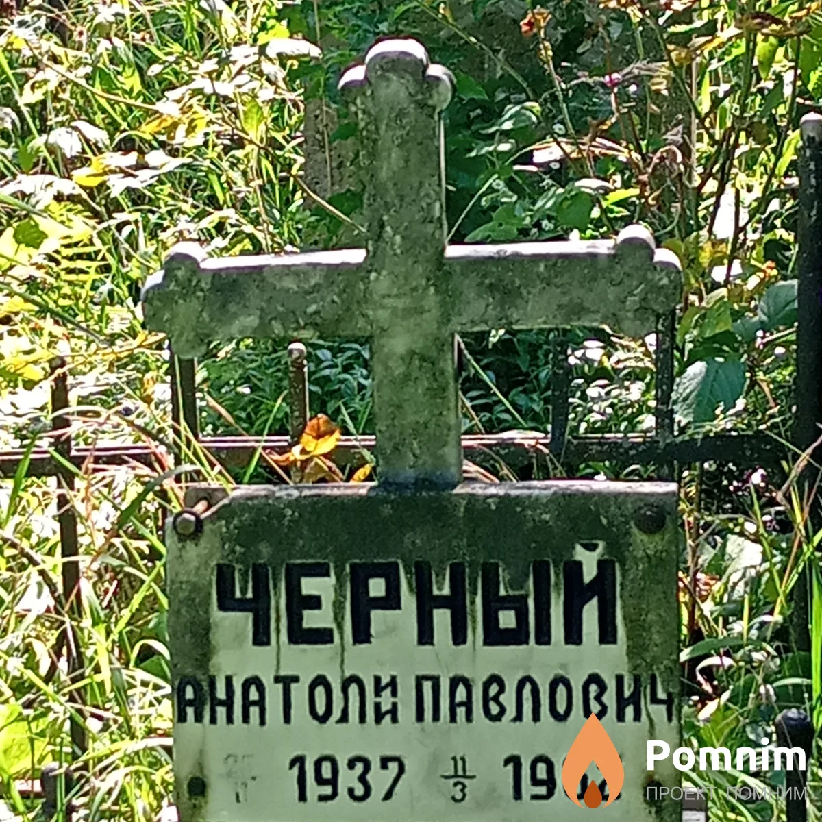 Черный Анатолий ПавловиЧ