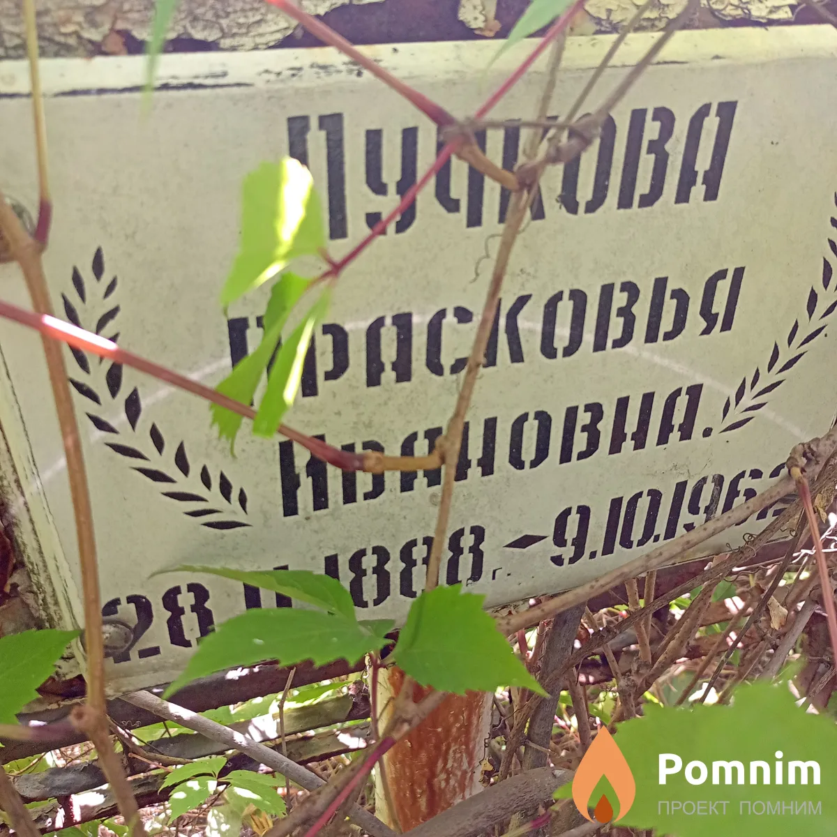Пучкова Прасковья Ивановна