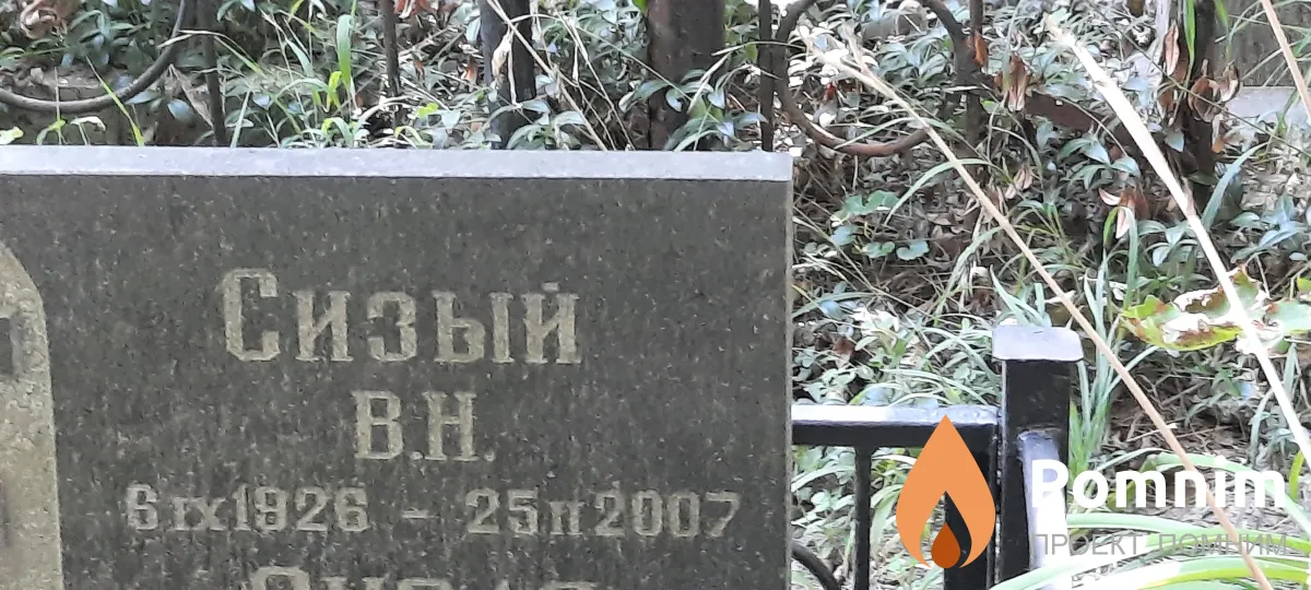 Сизый В Н