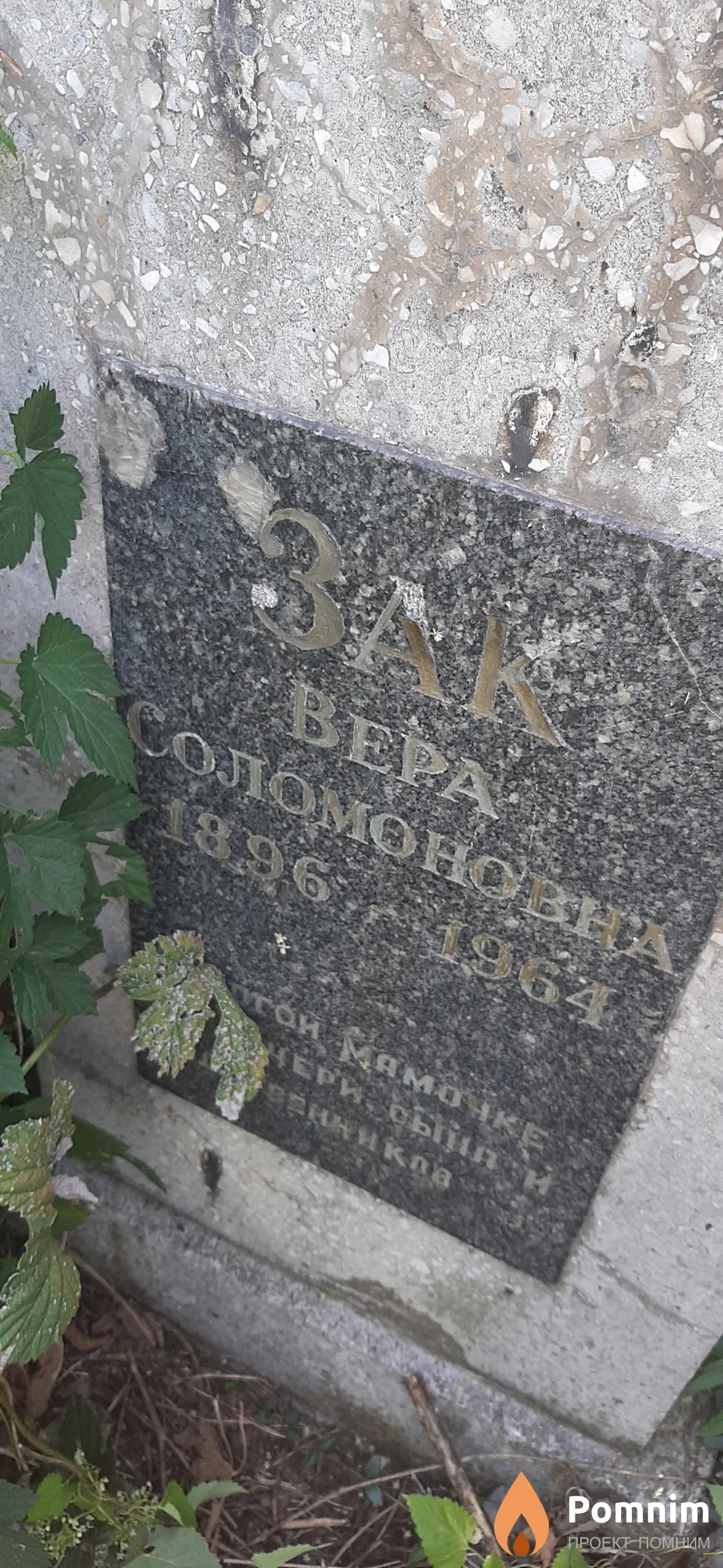 Зак Вера Соломоновна