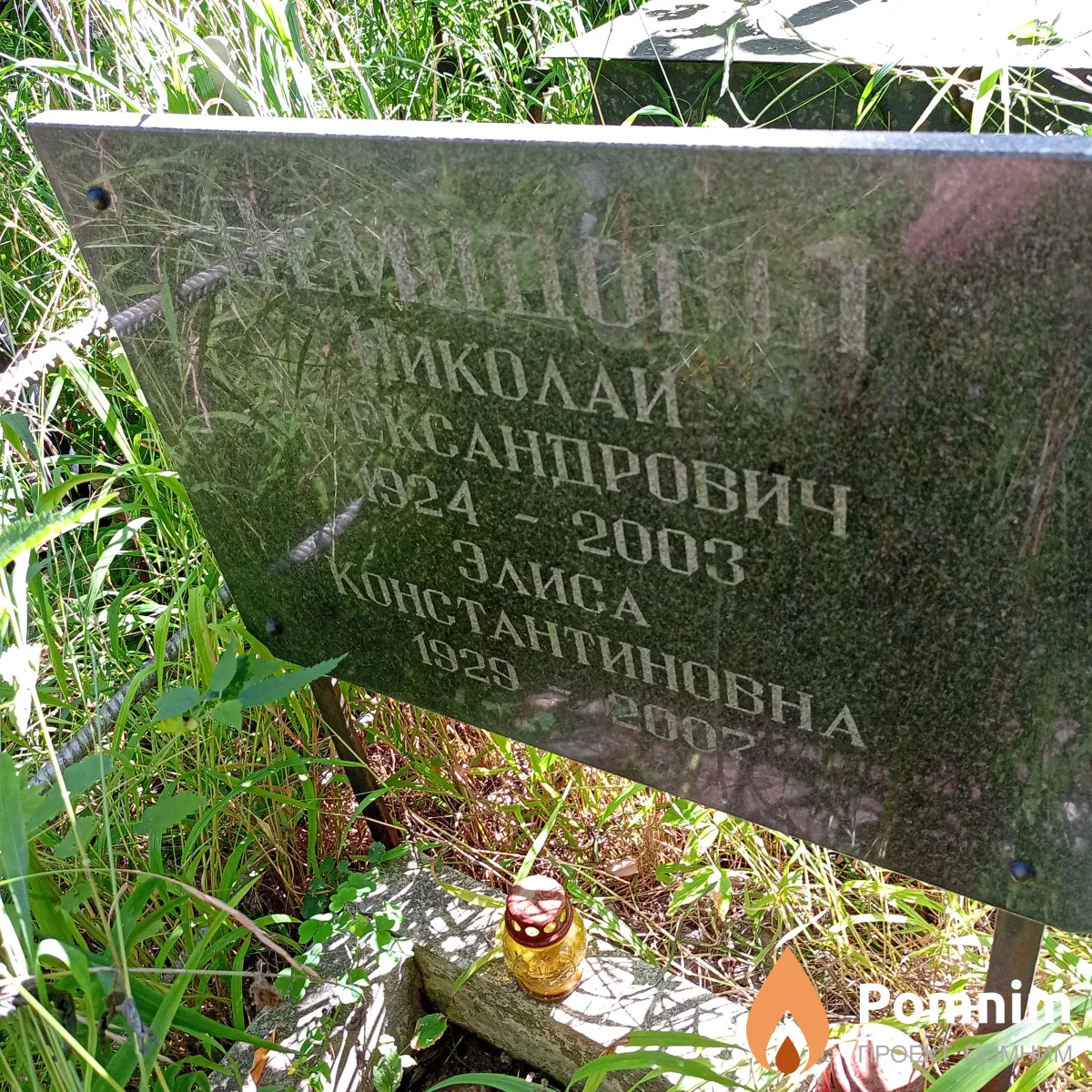 Демидов Николай Александрович