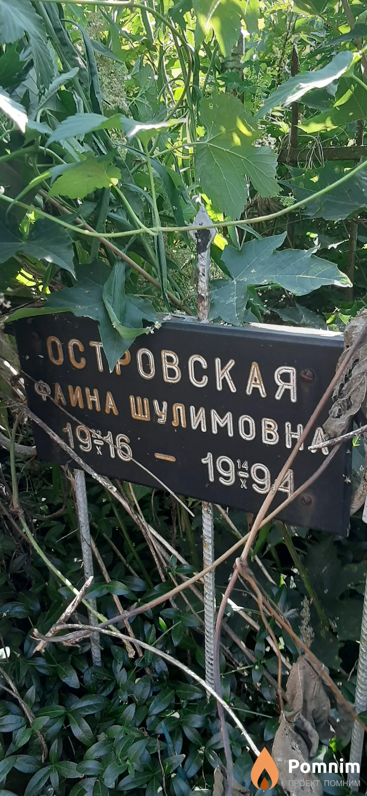 Островская Фаина Шулимових