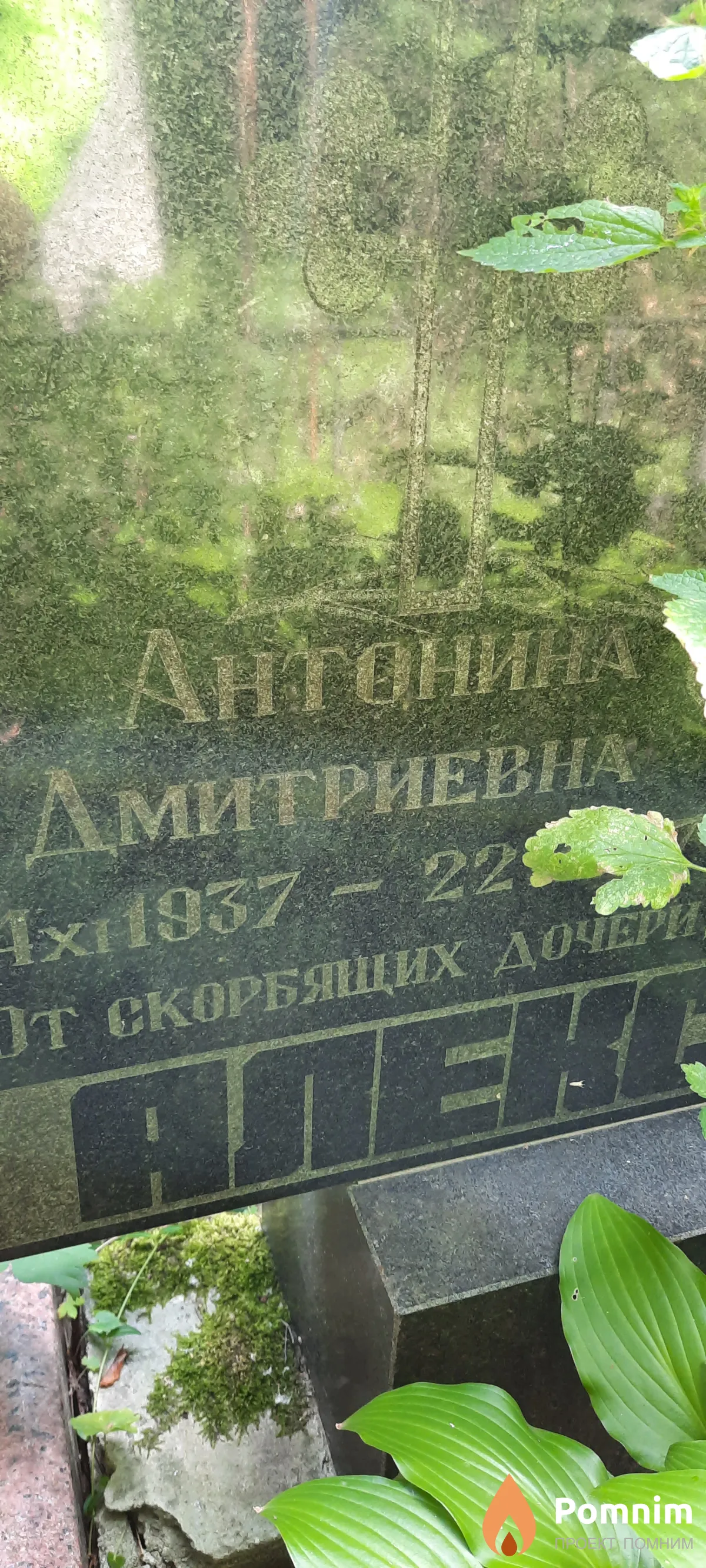 Алексеева Антонина Дмитриевна