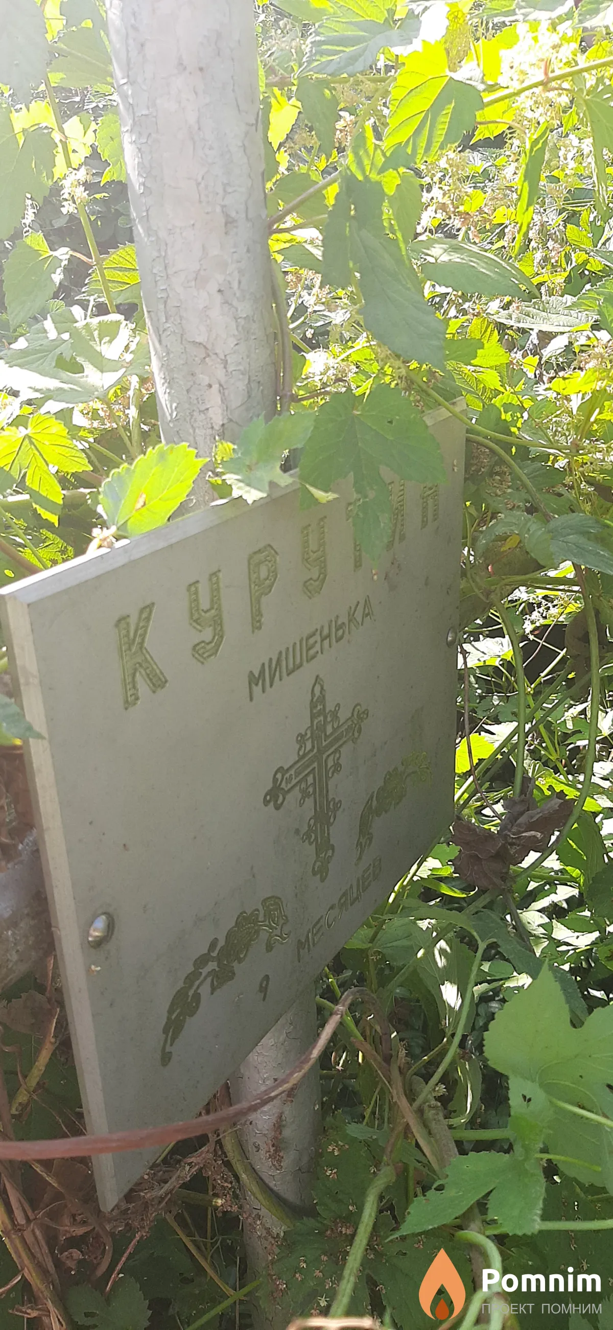 Курятин Миша