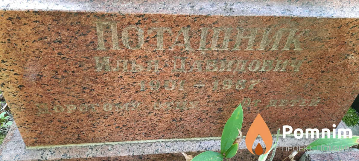 Поташник Илья Давидович