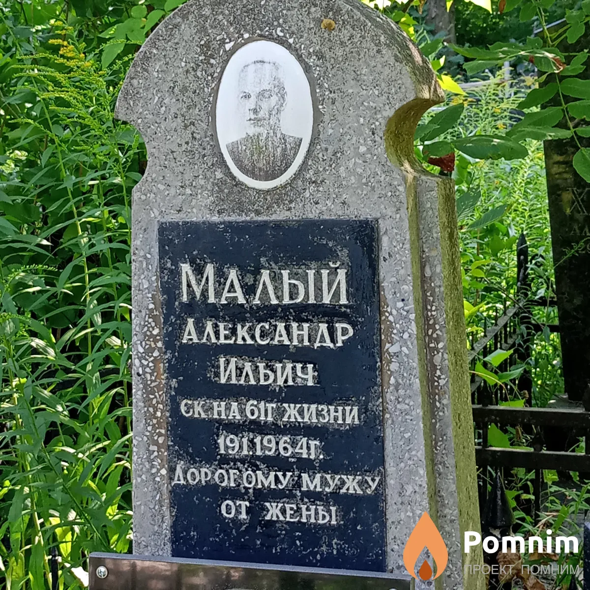 Малый Александр Ильич