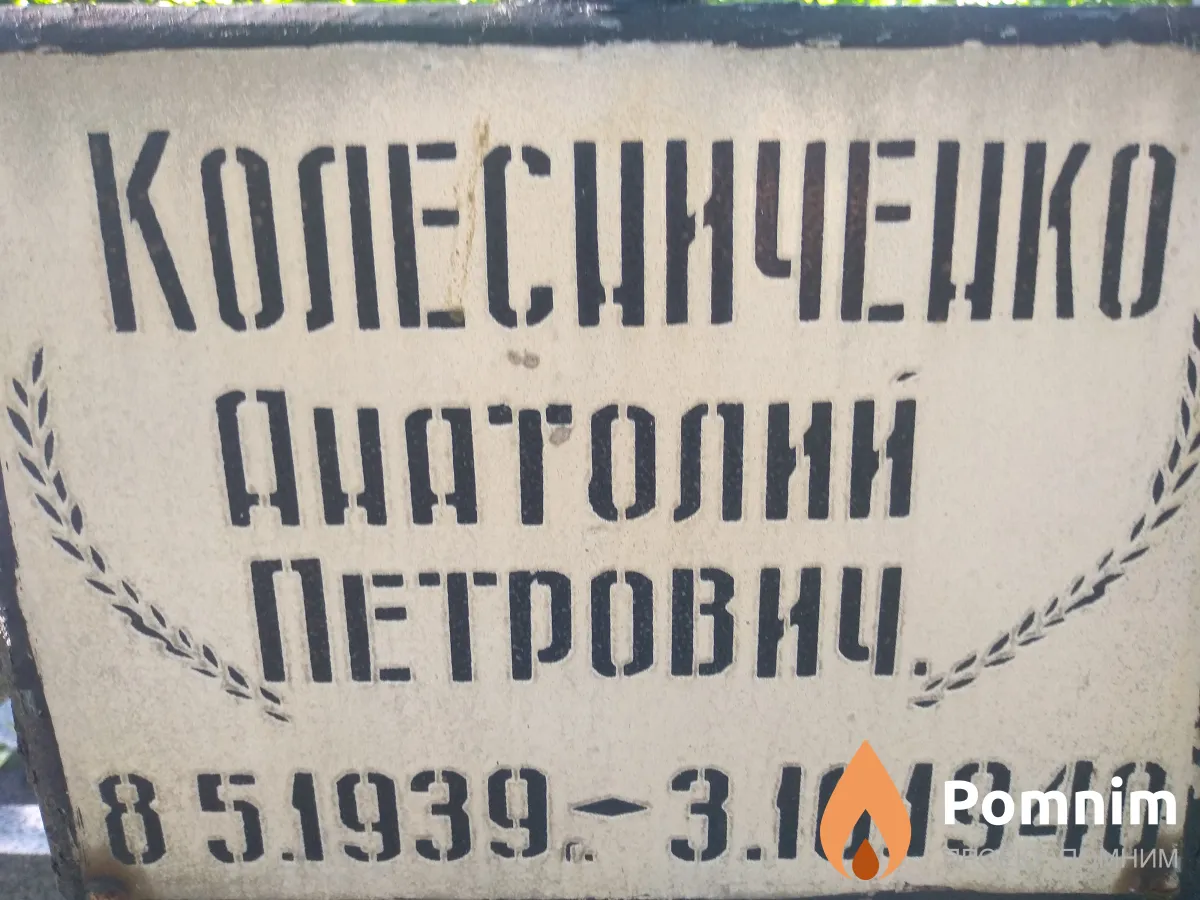 Колесинченко Анатолий Петрович