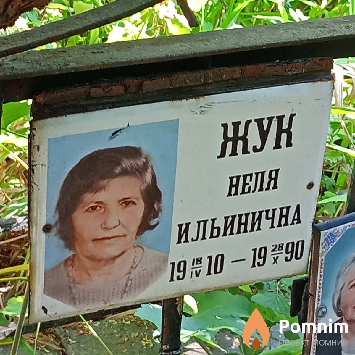 Жук Неля Ильинична