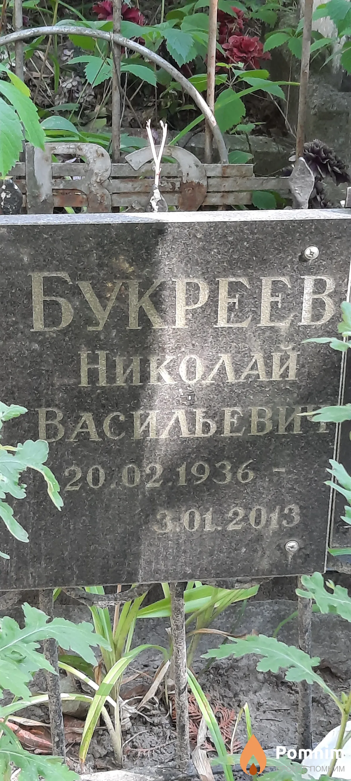 Букреев Николай Васильевич