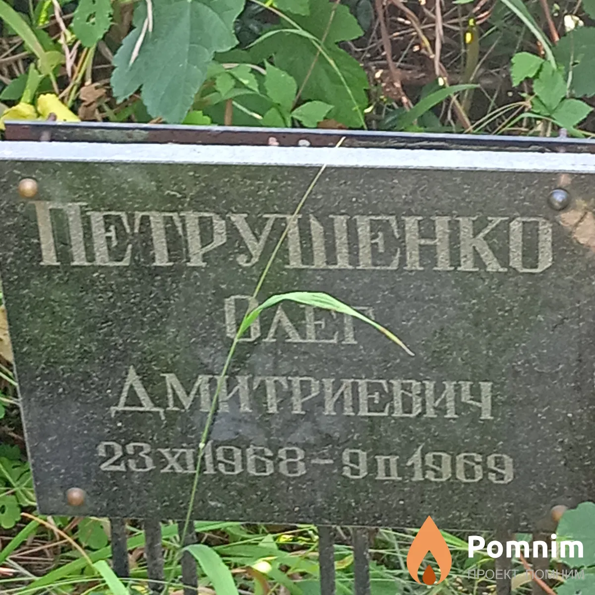 Петрушенко Олег Дмитриевич