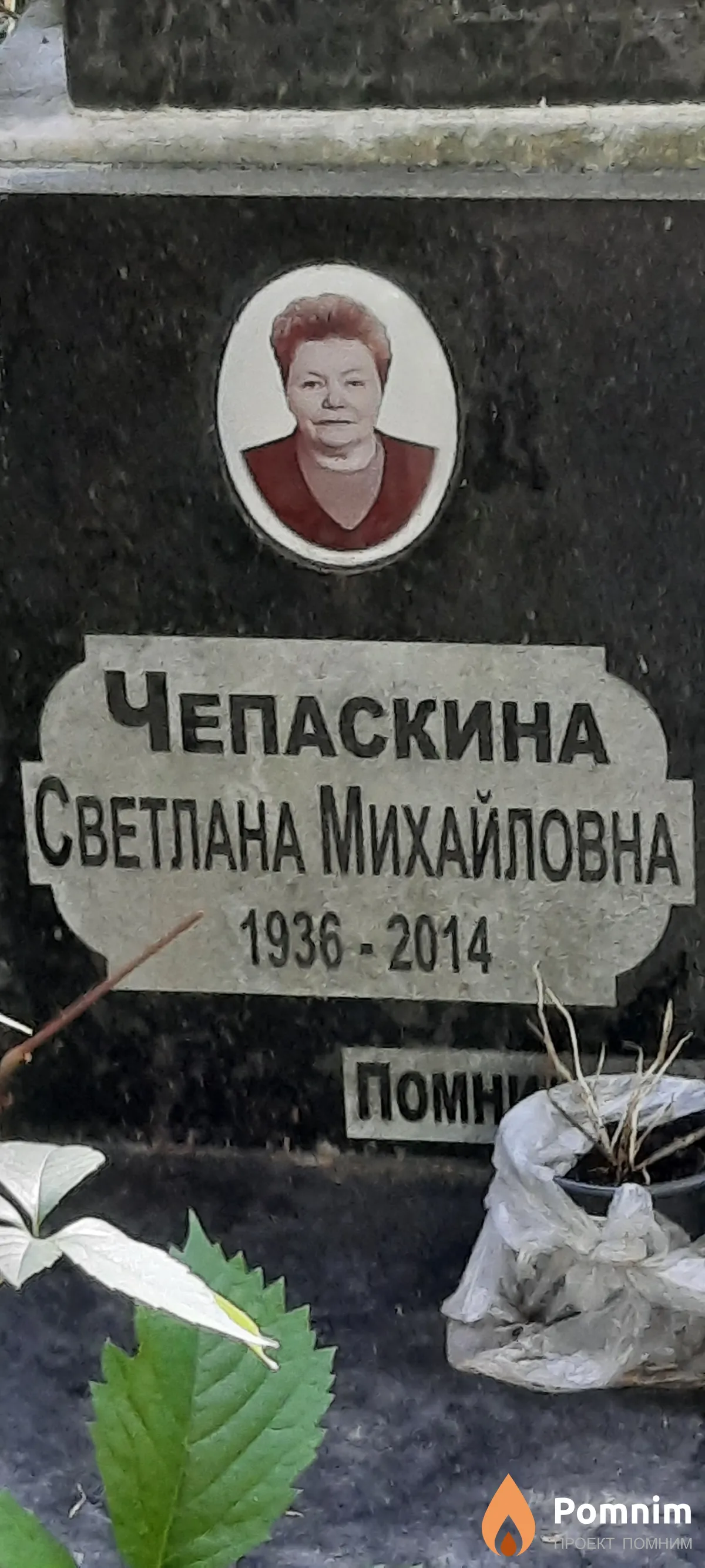 Чепаскина Светлана Михайловна