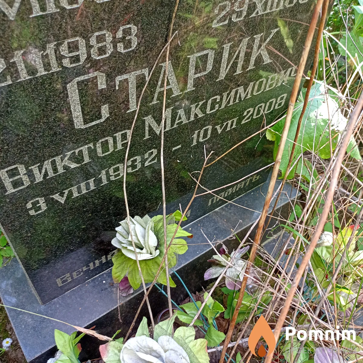 Старик Виктор Максимович