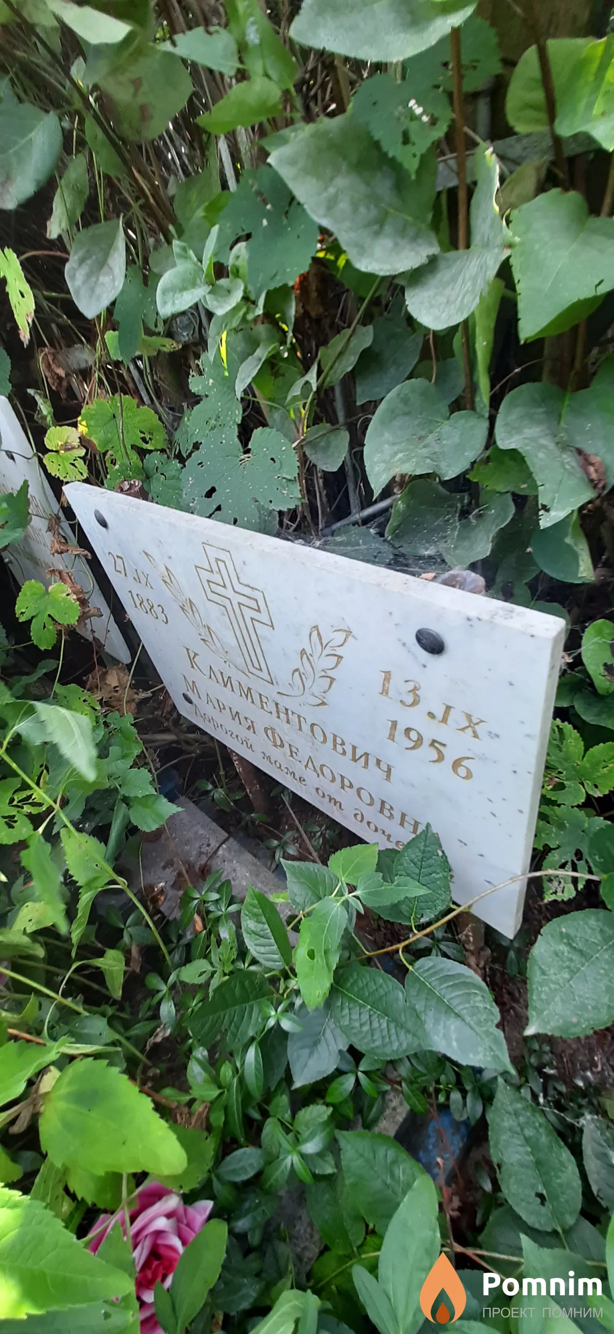 Климентович Мария Федоровна