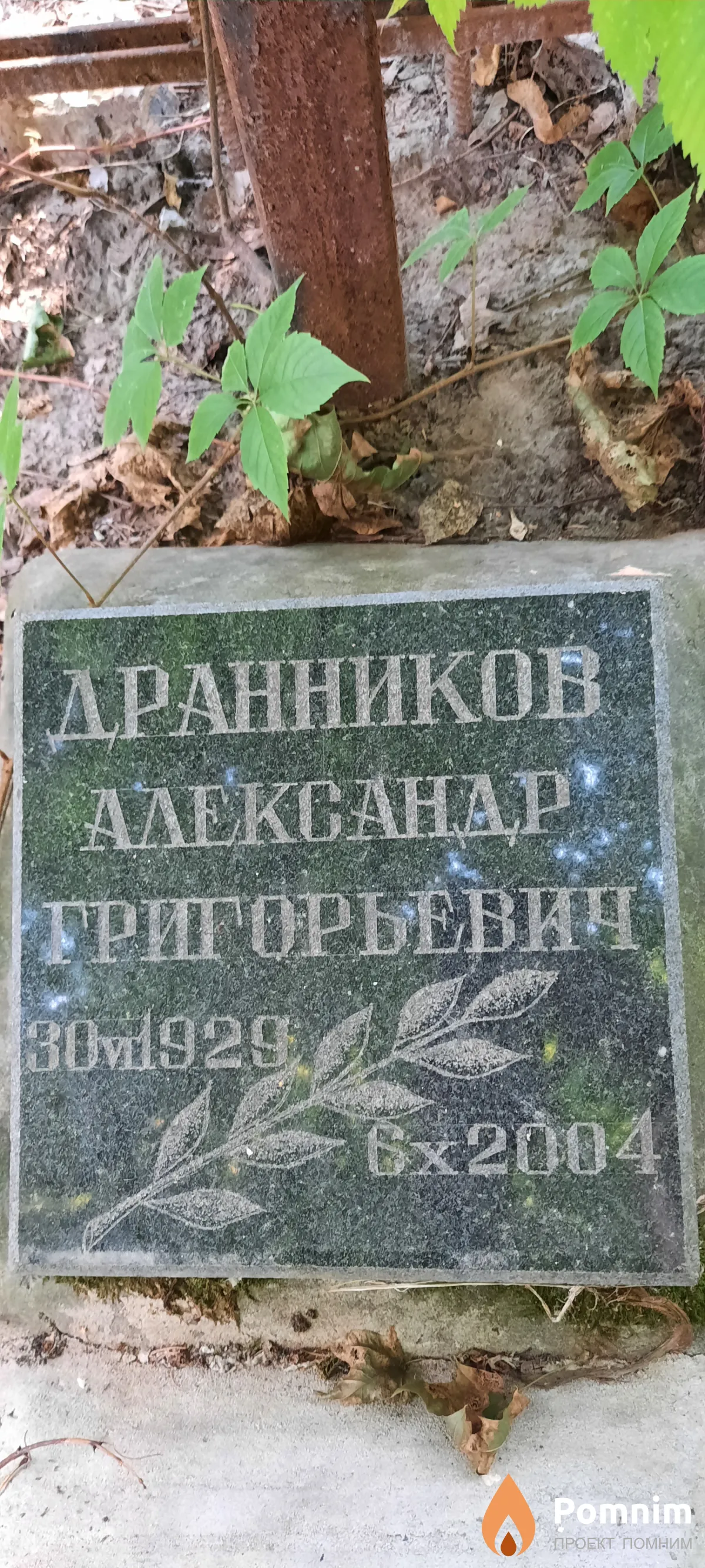 Дранников Александр Григорьевич
