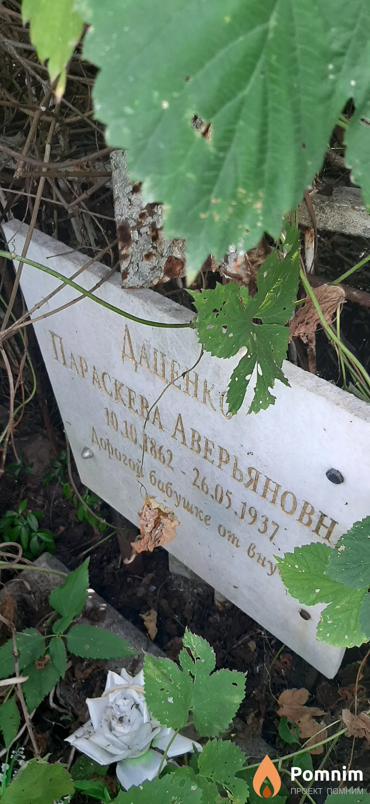 Даценко Параскева Аверьяновна