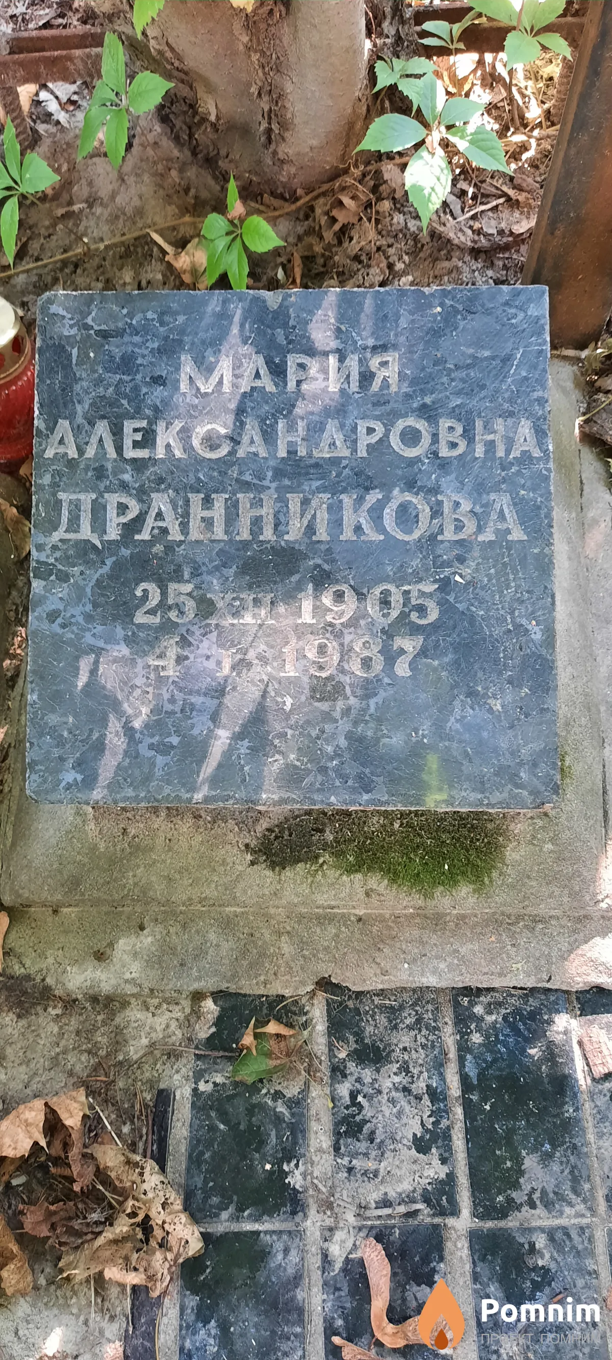Тест .