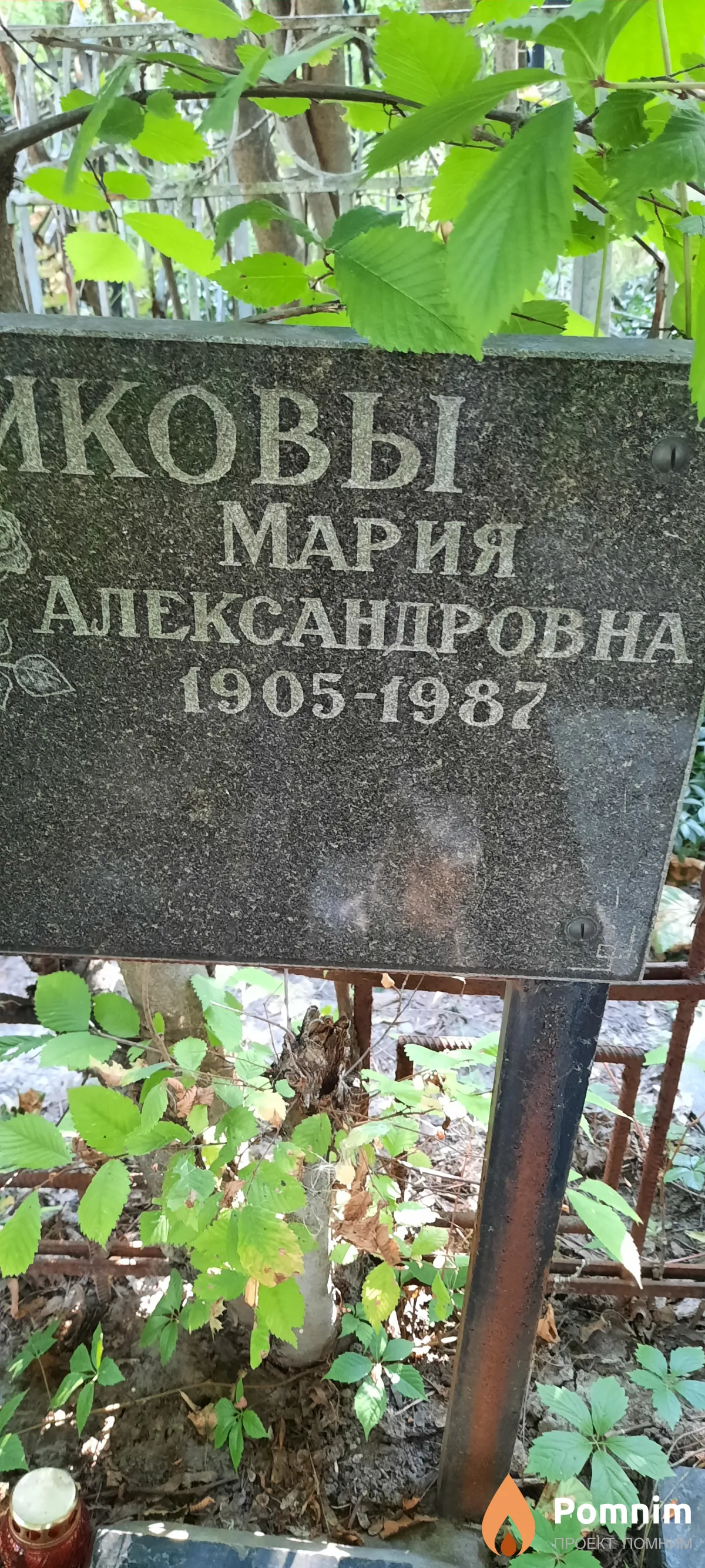 Дранникова Мария Александровна