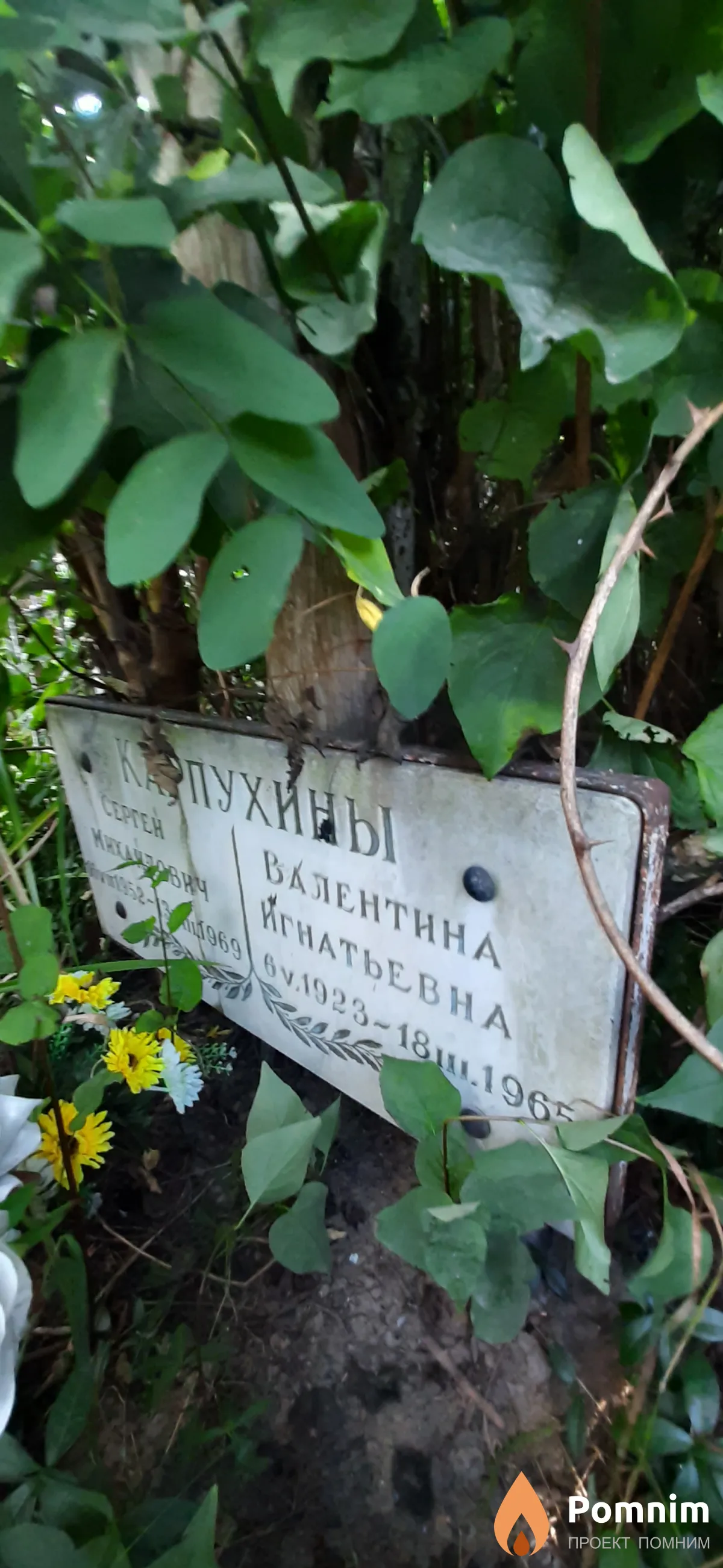 Карпухина Валентина Игнатьевна